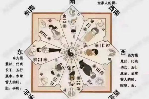 风水学中的风水作用与禁忌解析
