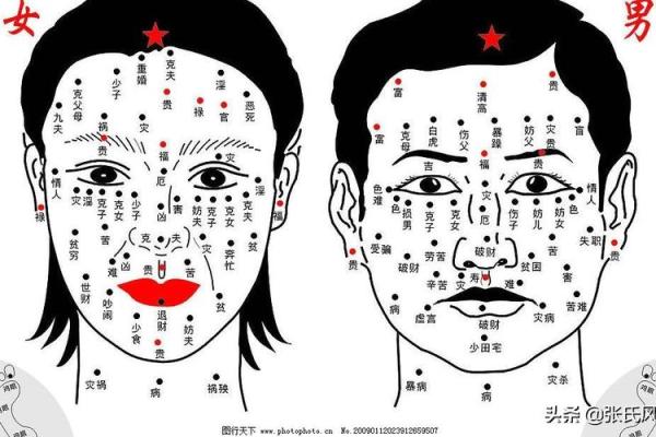 背部痣相图解：揭秘你的运势走向，准到惊人！