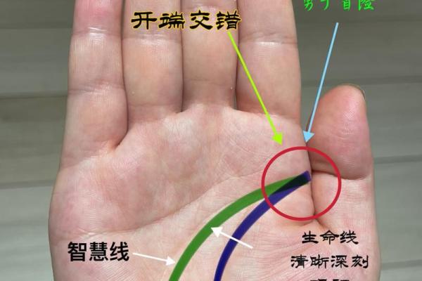 手相奥秘：揭秘影响线的神奇力量
