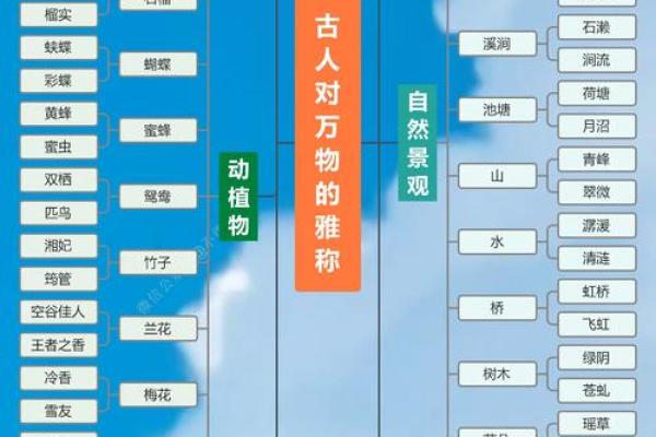 探索兮泽名字的文化与象征意义