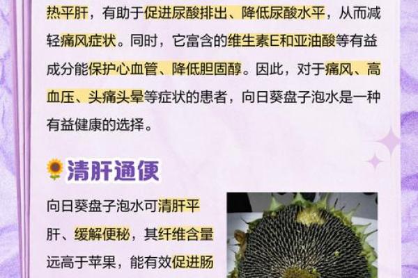葵花宝典风水学的奥秘与实用技巧揭秘