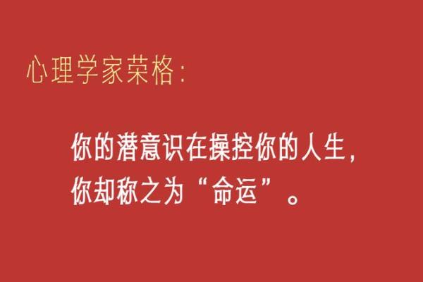 一本读懂命运：命理专家于大有教你掌控人生航向