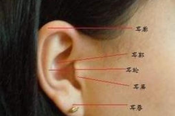 腹部左痣女人：揭秘她的独特魅力与命运
