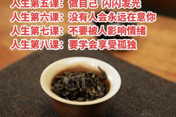 台湾独家命理智慧：教你轻松掌握人生运势