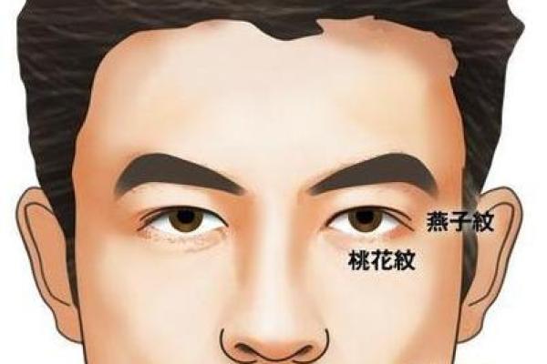 鼻头朝下财运旺，面相大吉！