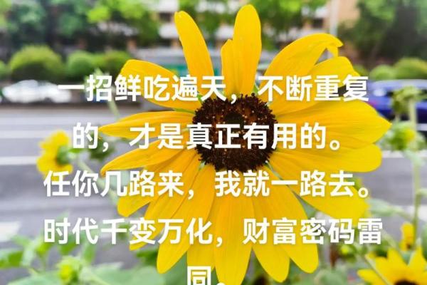 禄马决断，事业腾飞，揭秘你的成功密码！