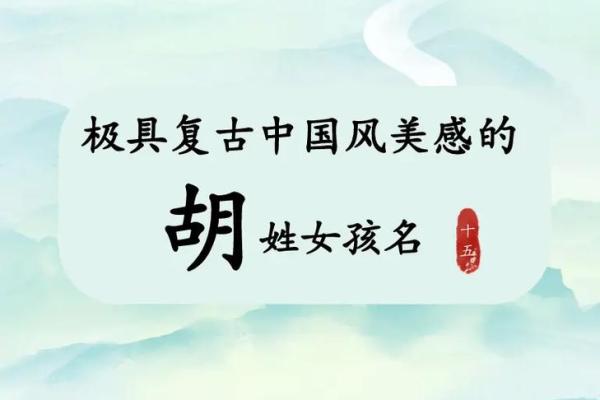 胡氏萌宝，创意命名解锁新篇章
