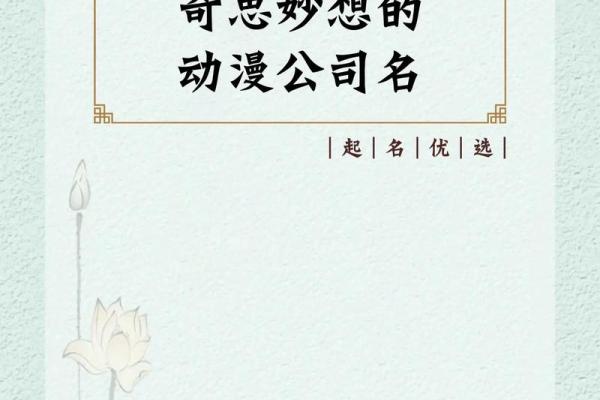 翱翔天空的207鸡宝宝：创意名字大盘点