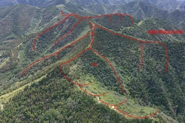 阴宅风水学入门图解：掌握基本原则与布局技巧