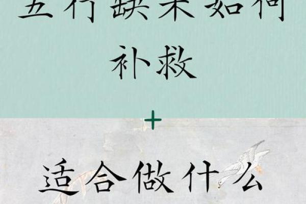 五行属木的行业有哪些