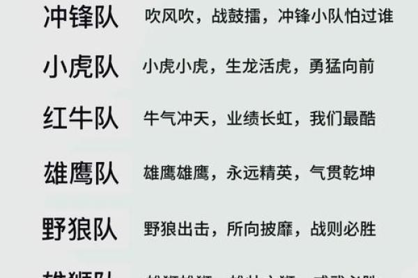 传统文化的魅力与队名中的深意