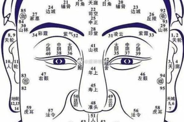 额头祖坟面相揭秘：财运与福缘的神秘关联