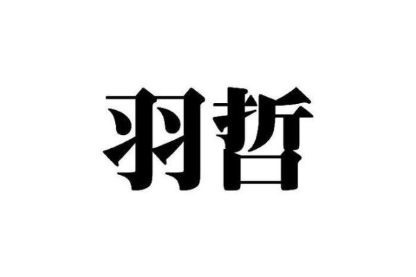 羽字在公司名称中的独特寓意与选择指南
