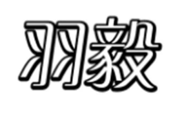 羽字在公司名称中的独特寓意与选择指南