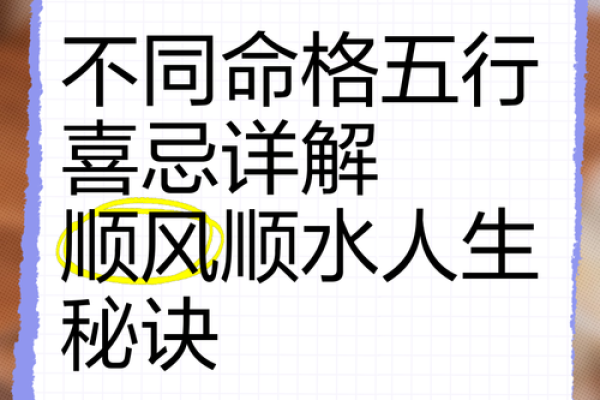探索五行命格，解读人生运势