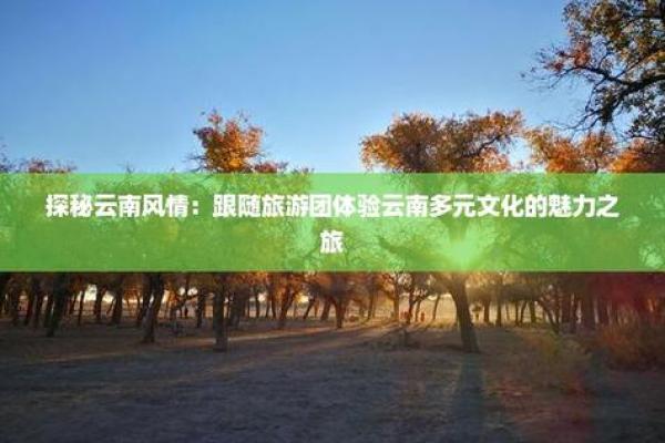 探秘各地独特风情：地域特色文化的魅力所在