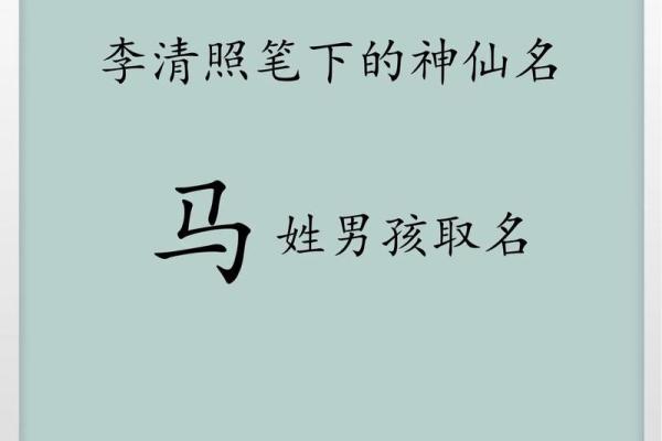 马年出生高姓宝宝美名推荐