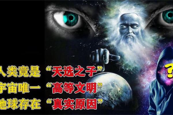 管玲：灵动如风，智慧璀璨的幸运之选