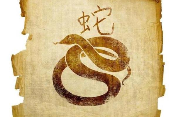 五行相合探秘：巳蛇究竟与哪位地支为伴？