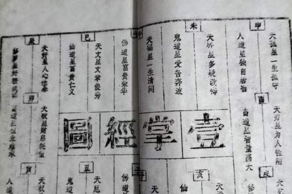 24画命理宝典：洞悉人生运势的神奇指南