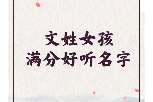 文姓宝宝名字精选