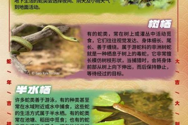 蛇宝宝命名禁忌大揭秘