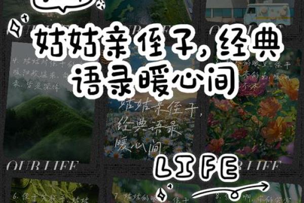 命里有时终须有：姑姑独家命理预测，助你前程似锦