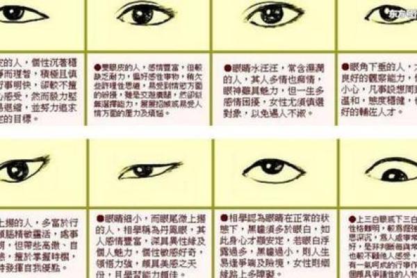 面相秘籍：识人辨性，一眼洞穿命运之谜