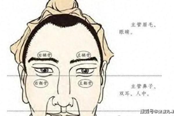 面相秘籍：识人辨性，一眼洞穿命运之谜