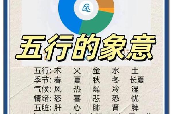 如何理解天五行属性的分类与应用
