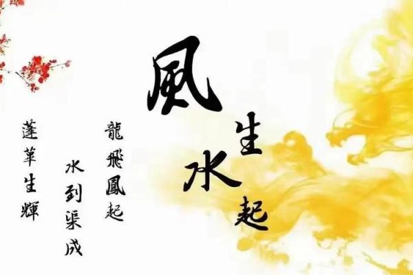林毅家居风水解析：家居布局与运势的神奇关系