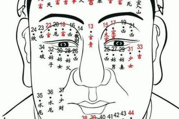 鼻痣男人运势大公开：相术界公认最准图解！