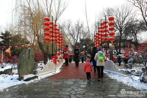 瑞雪纷飞迎春节，传统习俗话年味