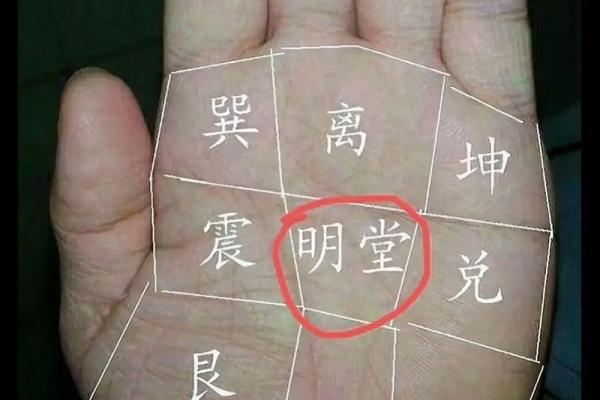 跳槽先看手：手相里的职业变动秘密！