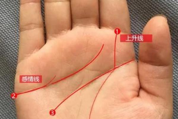 跳槽先看手：手相里的职业变动秘密！