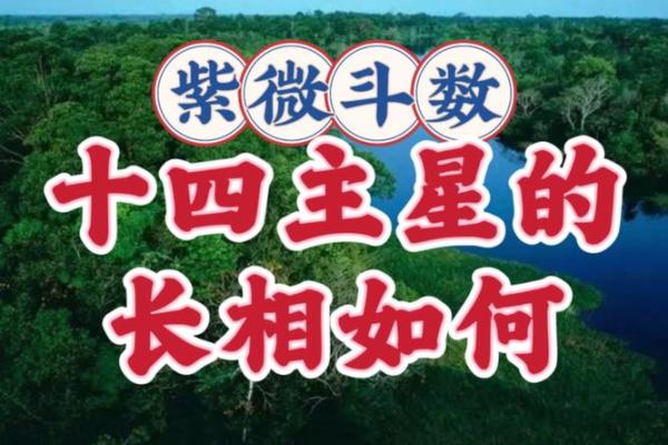紫微斗数新解：破解命运之谜的神秘宝典