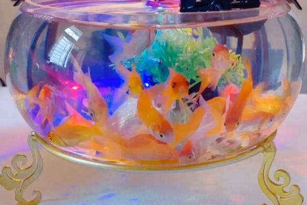 风水大师推荐：客厅摆件让你的财运翻倍！