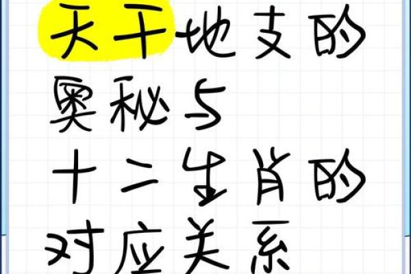 天干地支计算大揭秘：十二生肖背后的时间奥秘