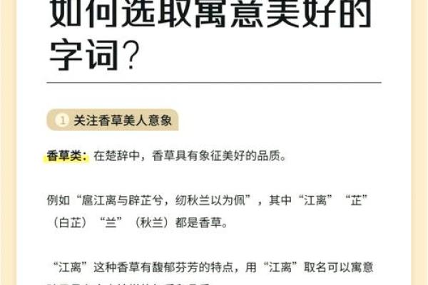 名字如诗：探寻宝宝的美好寓意