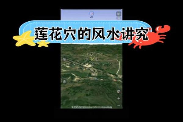 荷花盛放职场风生，办公室风水秘籍大公开