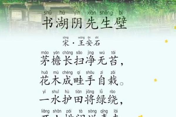 湖畔办公，诗意栖居
