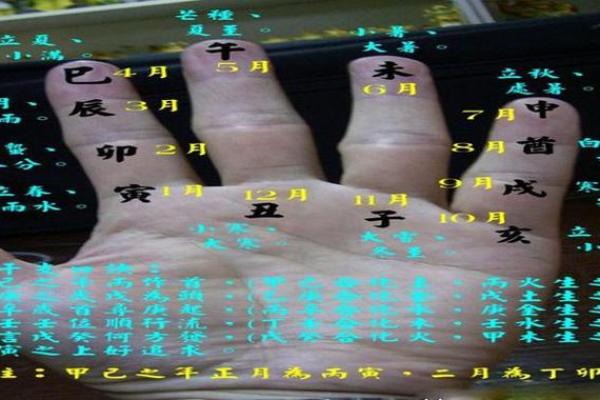 简单易学，手指玩转天干地支计算法