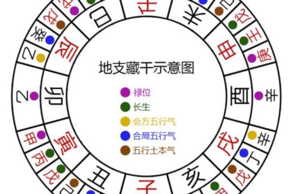 地支命宫大揭秘：你的运势藏在哪一宫？