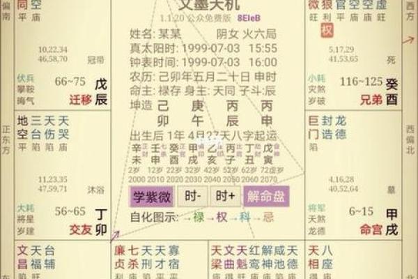 地支命宫大揭秘：你的运势藏在哪一宫？