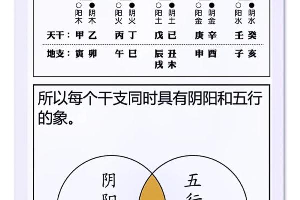 解秘地支：古人的智慧，今人的宝藏