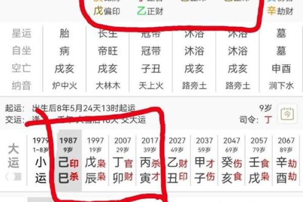 火土相生：激情四溢，事业成功的八字运程解析