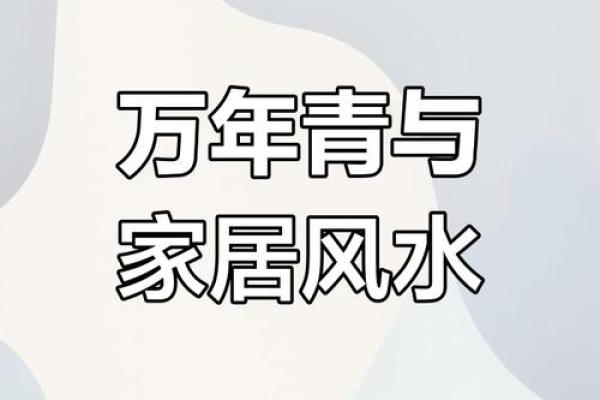 风水学入门软件推荐，轻松提升你的风水修养