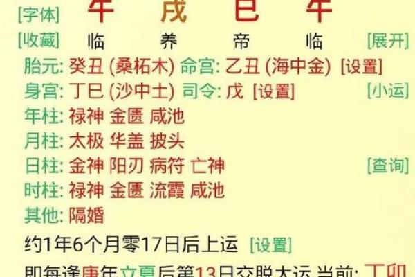 牛年风水布局指南，财运亨通