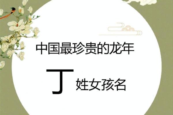 丁睿：智慧之光，锐意进取，姓名运势之璀璨星辰