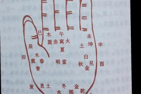 手相占卜秘籍：童女运势、爱情一览无遗
